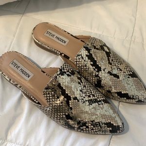 Steve Madden Mattis Snake Print Slids